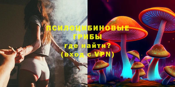 ПСИЛОЦИБИНОВЫЕ ГРИБЫ Алексин