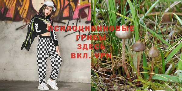 mdpv Абаза