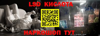 ПСИЛОЦИБИНОВЫЕ ГРИБЫ Камышлов
