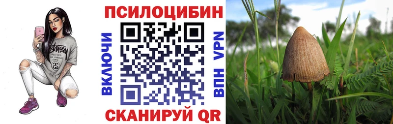Галлюциногенные грибы MAGIC MUSHROOMS  Новоуральск 