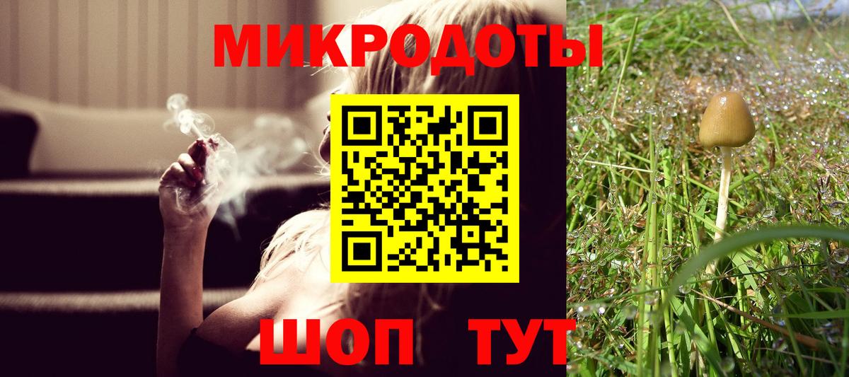 Галлюциногенные грибы Cubensis  Вход с VPN  Новоуральск  Галлюциногенные грибы Psilocybine cubensis 