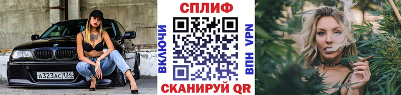 Марихуана сатива  Новоуральск 